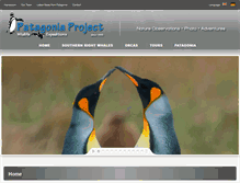 Tablet Screenshot of patagoniaproject.com